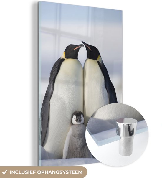 Glasschilderij - Pinguïn - Gezin - Sneeuw - Acrylaat Schilderijen - Foto op Glas