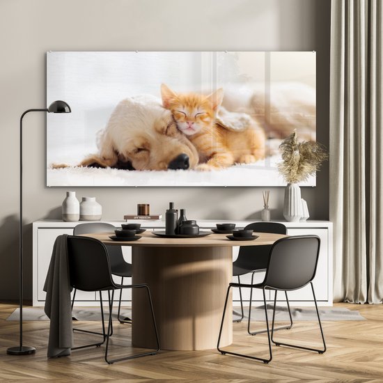 Peinture sur verre - Photo sur verre - Chat - Chien - Chat - Chaton - Couverture - Animaux - Décoration murale - 160x80 cm - Verre acrylique - Peinture animaux - Décoration murale - Peinture sur verre