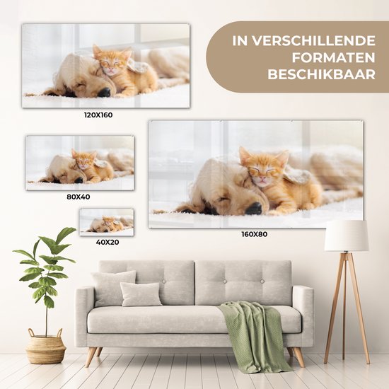 Peinture sur verre - Photo sur verre - Chat - Chien - Chat - Chaton - Couverture - Animaux - Décoration murale - 160x80 cm - Verre acrylique - Peinture animaux - Décoration murale - Peinture sur verre