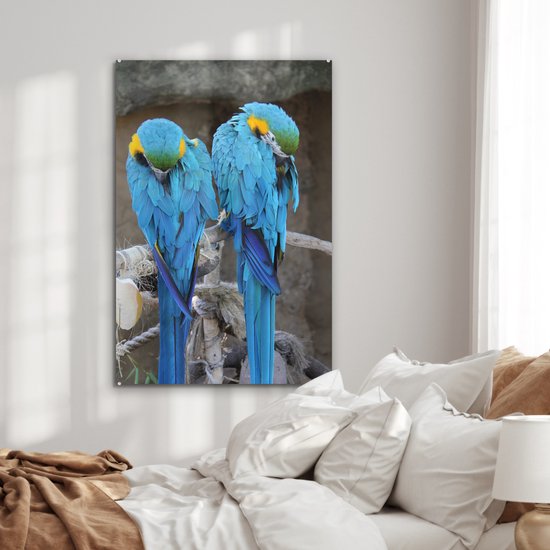 Deux aras en Glas 80x120 cm - Tirage photo sur Glas (décoration murale en plexiglas)