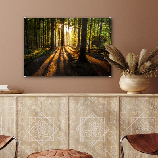 Peinture sur verre - Peinture sur verre intérieur - Forêt - Soleil - Nature - Paysage - Verre acrylique - Photo sur verre - Peinture sur verre - 60x40 cm - Décoration murale - Salon