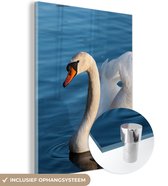Glasschilderij - Foto op glas - Acrylglas - Zwaan - Vogel - Water - Landschap - 60x80 cm - Schilderij glas - Glasschilderij vogels - Glasschilderij dieren - Kamer decoratie