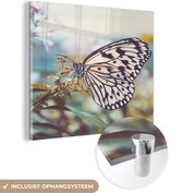MuchoWow® Glasschilderij 20x20 cm - Schilderij acrylglas - Vlinder - Bloemen - Lente - Foto op glas - Schilderijen