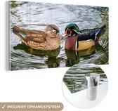 MuchoWow - Glasschilderij - Foto op glas - Acrylglas - Eend - Vogels - Water - Veren - 160x80 cm - Schilderij glas - Glasschilderij vogels - Glasschilderij dieren - Slaapkamer
