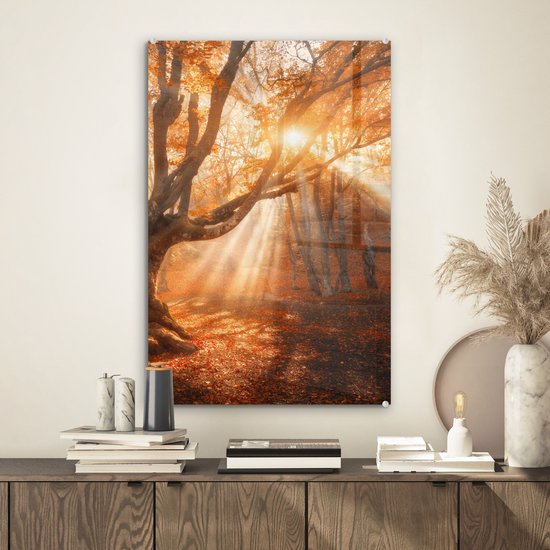 MuchoWow® Peinture sur verre - Arbre - Nature - Automne - 40x60 cm - Peintures sur verre acrylique - Photo sur Glas