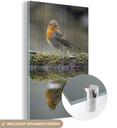 Reflet de merle dans l'eau Plexiglas 60x90 cm - Tirage photo sur Glas (décoration murale en plexiglas)