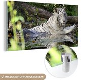 MuchoWow® Glasschilderij 120x60 cm - Schilderij acrylglas - Witte tijger in het water - Foto op glas - Schilderijen