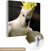 MuchoWow® Glasschilderij 90x90 cm - Schilderij acrylglas - Een witte kaketoe met een gele kuif - Foto op glas - Schilderijen