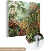 MuchoWow® Glasschilderij 50x50 cm - Schilderij acrylglas - Oude meesters - Kunst - Muscinae - Haeckel - Foto op glas - Schilderijen