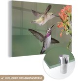 MuchoWow® Glasschilderij 90x60 cm - Schilderij acrylglas - Kolibrie - Vogels - Bloem - Foto op glas - Schilderijen