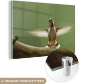 MuchoWow® Glasschilderij 90x60 cm - Schilderij acrylglas - Kolibrie - Vogel - Boom - Foto op glas - Schilderijen
