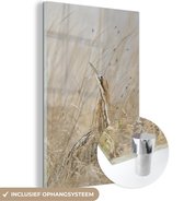 Un butor parmi les hautes herbes Plexiglas 20x30 cm - petit - Tirage photo sur Glas (décoration murale en plexiglas)