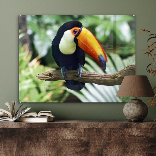 Un toucan regarde vers le bas d'une branche Plexiglas 80x60 cm - Tirage photo sur Glas (décoration murale en plexiglas)