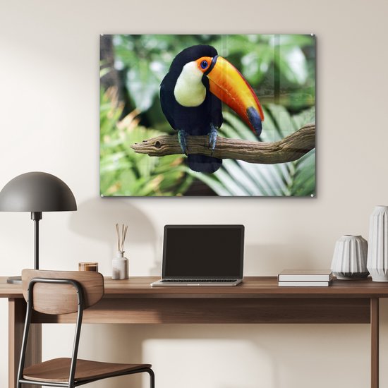 Un toucan regarde vers le bas d'une branche Plexiglas 80x60 cm - Tirage photo sur Glas (décoration murale en plexiglas)