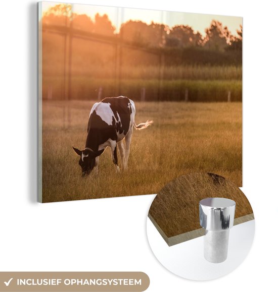 MuchoWow® Peinture sur verre 160x120 cm - Peinture sur verre acrylique - Vache - Soleil - Animaux - Photo sur verre - Peintures