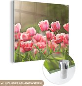 MuchoWow® Glasschilderij 90x90 cm - Schilderij acrylglas - Tulpen - Zon - Lente - Foto op glas - Schilderijen