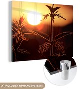 MuchoWow® Glasschilderij 80x60 cm - Schilderij acrylglas - Een prachtig silhouet van een brandnetel bij zonsondergang - Foto op glas - Schilderijen