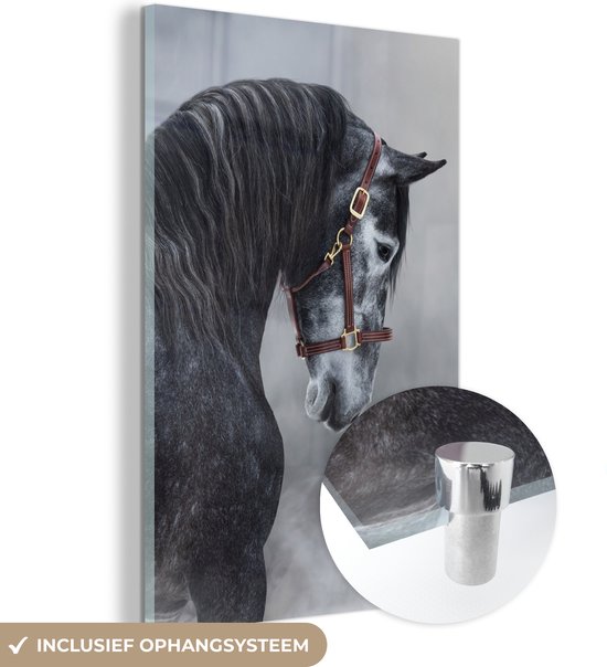 MuchoWow® Glasschilderij 20x30 cm - Schilderij acrylglas - Paard - Grijs - Bruin - Dieren - Rook - Foto op glas - Schilderijen