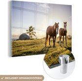 MuchoWow® Glasschilderij 180x120 cm - Schilderij acrylglas - Paarden - Zon - Gras - Foto op glas - Schilderijen
