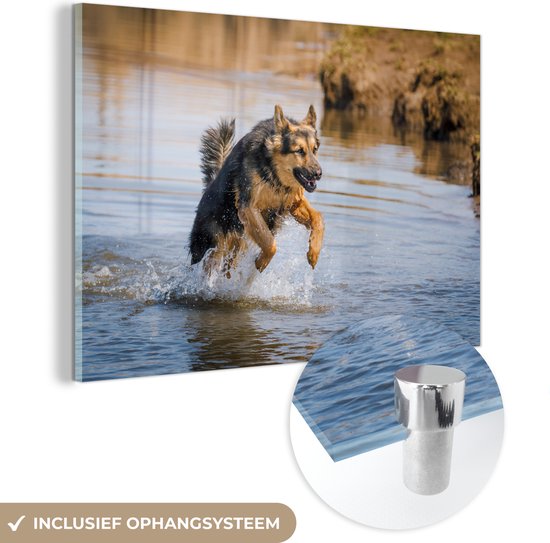 MuchoWow® Glasschilderij 90x60 cm - Schilderij acrylglas - Een Duitse Herder spelend in het water - Foto op glas - Schilderijen