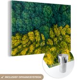 MuchoWow® Glasschilderij 30x20 cm - Schilderij acrylglas - Bos - Bomen - Geel - Groen - Foto op glas - Schilderijen