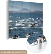 MuchoWow® Glasschilderij 50x50 cm - Schilderij acrylglas - Dolfijn - Water - Zee - Foto op glas - Schilderijen