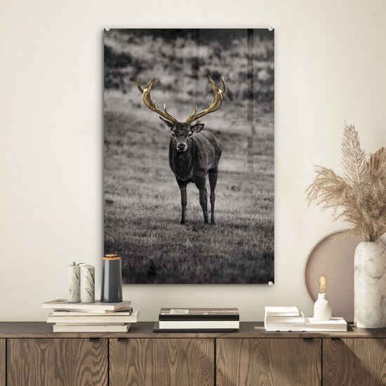 Peintures en plexiglas - Cerf - Or - Bois - 40x60 cm