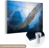 MuchoWow® Glasschilderij 90x60 cm - Schilderij acrylglas - Zwemmen - Duiken - Vis - Foto op glas - Schilderijen