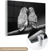 MuchoWow® Glasschilderij 90x60 cm - Schilderij acrylglas - Lovebirds papegaaitjes fotoprint - zwart wit - Foto op glas - Schilderijen