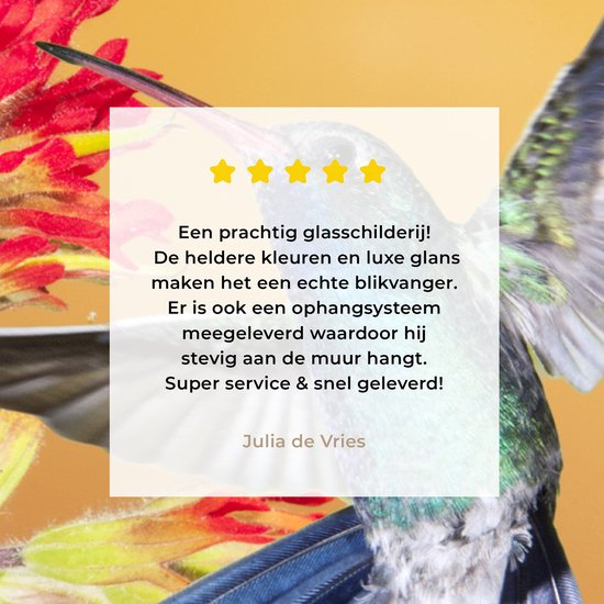 Colibri aux couleurs vives à côté d'une belle fleur rouge Plexiglas 60x40 cm - Tirage photo sur Glas (décoration murale en plexiglas)