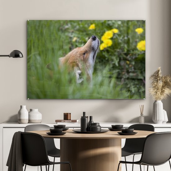 MuchoWow® Peinture sur Verre - Renard - Fleurs - Jaune - 90x60 cm - Peintures sur Verre Acrylique - Photo sur Glas