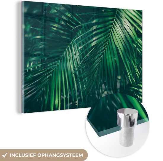 Plexiglas schilderijen - Palmbladeren - Macro - Groen