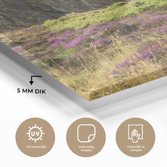 Herbe anglaise sur les falaises du parc national du Pembrokeshire Coast Plexiglass 160x80 cm - Tirage photo sur Glas (décoration murale en plexiglas)