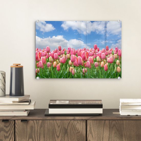Peinture sur verre - Couleurs - Tulipes - Printemps - 30x20 cm - Peintures Plexiglas