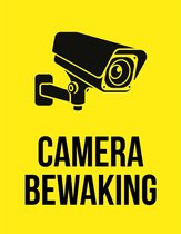 Pictogram/ bord | "Camerabewaking" | 19 x 25 cm | CCTV | Beveiliging | Videobewaking | Diefstal verhinderen | Preventie | Geel | Opvallend | Polystyreen | Dikte: 2 mm | 1 stuk