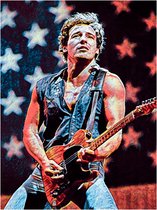 Signs-USA - Muziek Sign - metaal - Bruce Springsteen - Guitar USA Flag - 30x40 cm