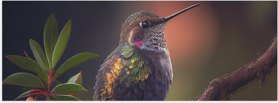 Poster (Mat) - Groene Juweelkolibrie Vogel op Tak langs Groen Blad - 60x20 cm Foto op Posterpapier met een Matte look