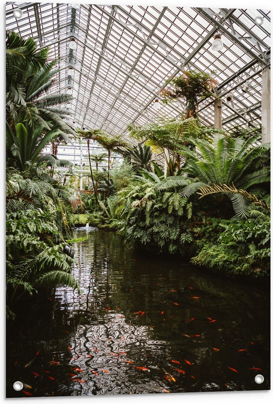 Tuinposter – Vissen in een Vijver - Chicago - 60x80 cm Foto op Tuinposter (wanddecoratie voor buiten en binnen)