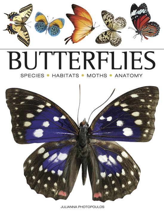 Mini Encyclopedias- Butterflies - cover