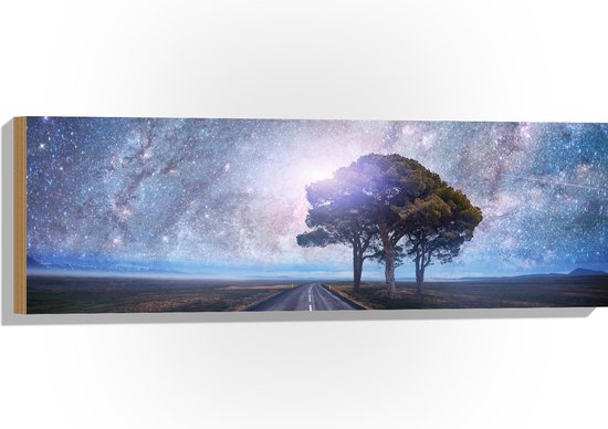 Panorama sur bois avec 3 arbres sous un ciel étoilé, la Voie lactée est visible au-dessus d'une route droite.