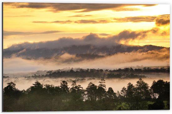 WallClassics - Dibond - Wolken in Boomtoppen op Berg bij Zonsondergang - 60x40 cm Foto op Aluminium (Met Ophangsysteem)