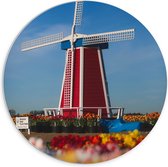 PVC Schuimplaat Muurcirkel - Rode Windmolen in een Tulpenveld - 70x70 cm Foto op Muurcirkel (met ophangsysteem)