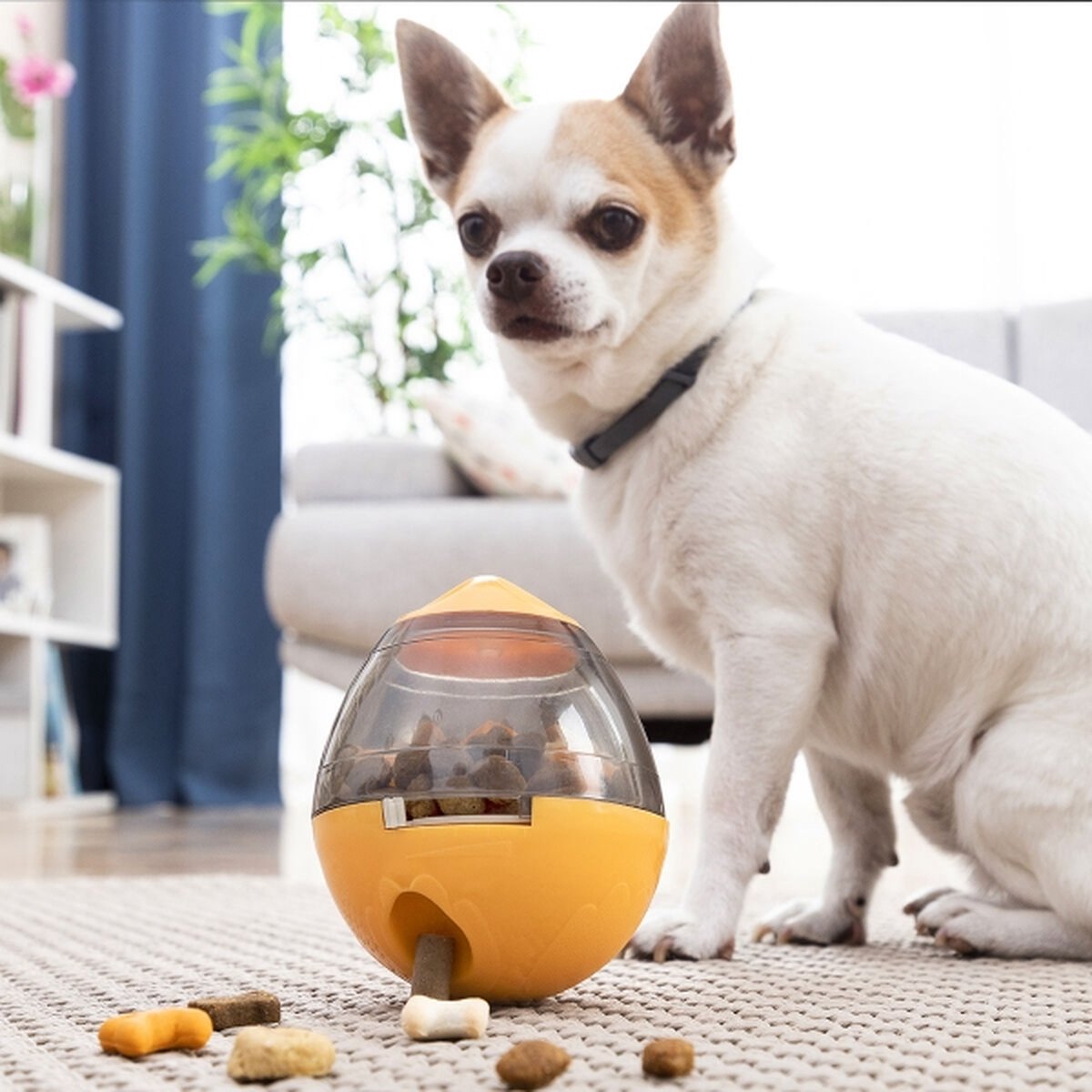 Innovagoods - Honden speelgoed - Hondensnacks - Honden speeltjes - Honden Liefhebber