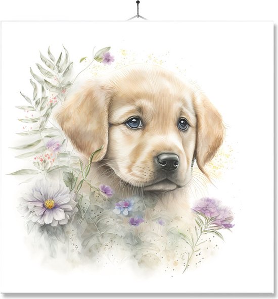 Gouden Hond Vanaf 6 maanden kopen? | Vergelijk de beste Gouden Hond Vanaf 6 maanden kopen? | Vergelijk de beste