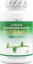 Cissus Quadrangularis - 180 capsules met 720 mg extract - Premium: 40% Ketosteron + Zwarte Peper - Hoge Dosis - Veganistisch | Vit4ever