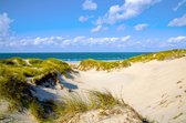 Tuinposter - Zee - Strand in wit / zwart / bruin / blauw / groen - 160 x 240 cm.