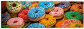 Dibond - Rij Verse Donuts met Verschillende Kleuren Sprinkles - 60x20 cm Foto op Aluminium (Wanddecoratie van metaal)