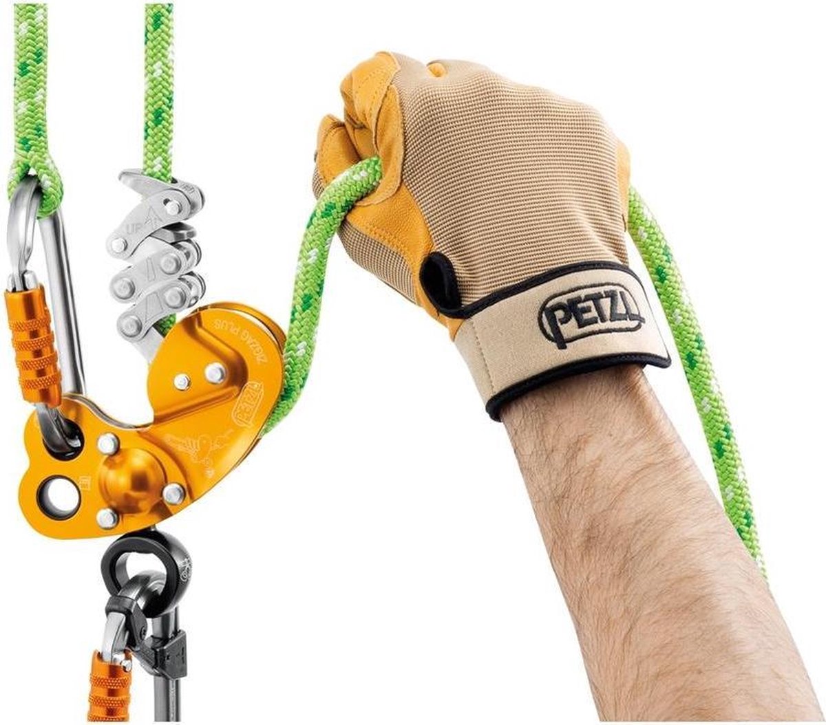 Petzl Zigzag Plus : L’assureur Mécanique Ultime Pour Les Pros De L’élagage
