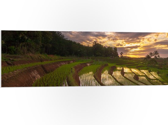PVC Schuimplaat - Rijstvelden Vol Regenwater in Indonesië - 120x40 cm Foto op PVC Schuimplaat (Met Ophangsysteem)