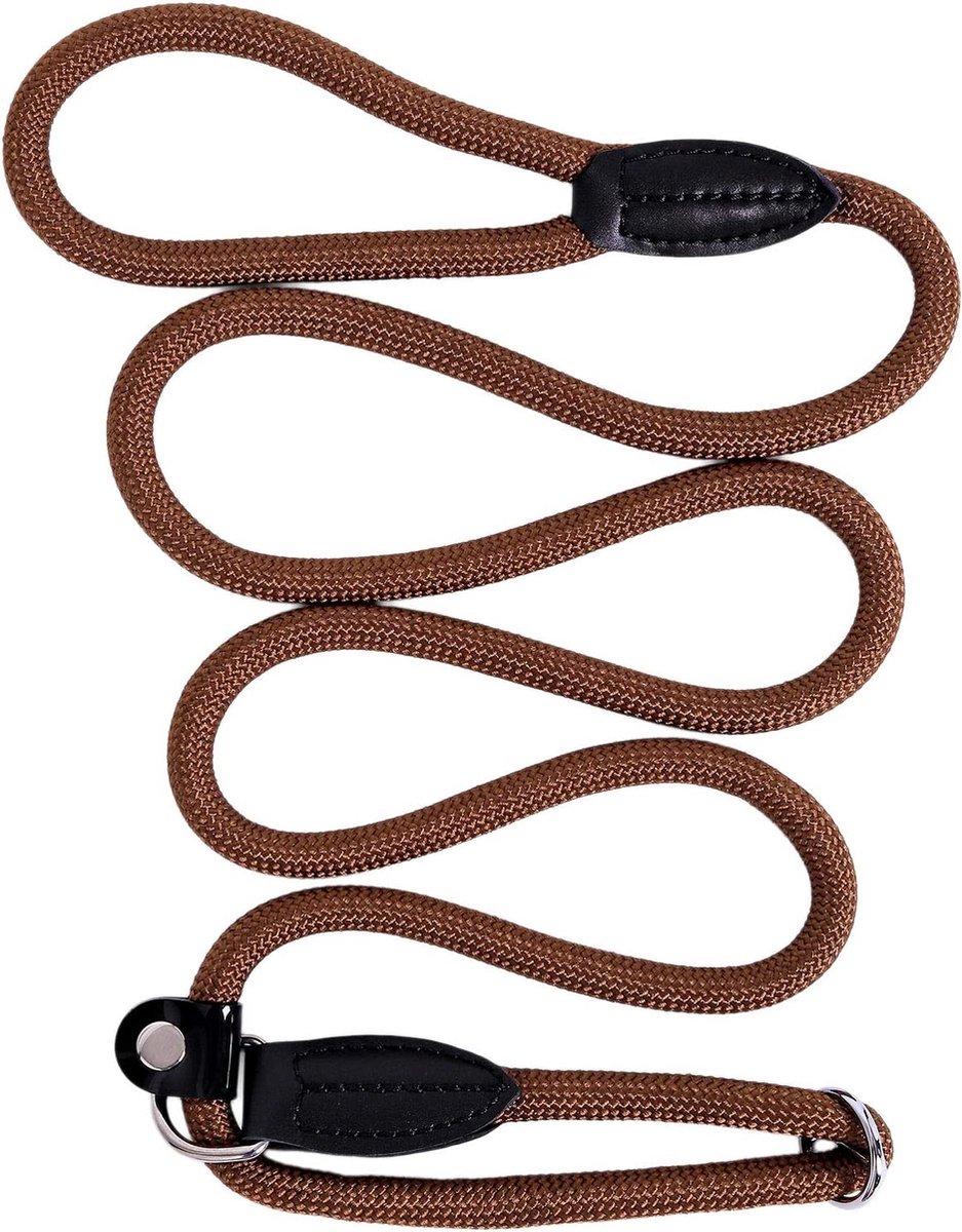 Retrieverine Hondenriem, hondenriem, treklijn, robuust, weerbestendig, lengte 170 cm, bruin